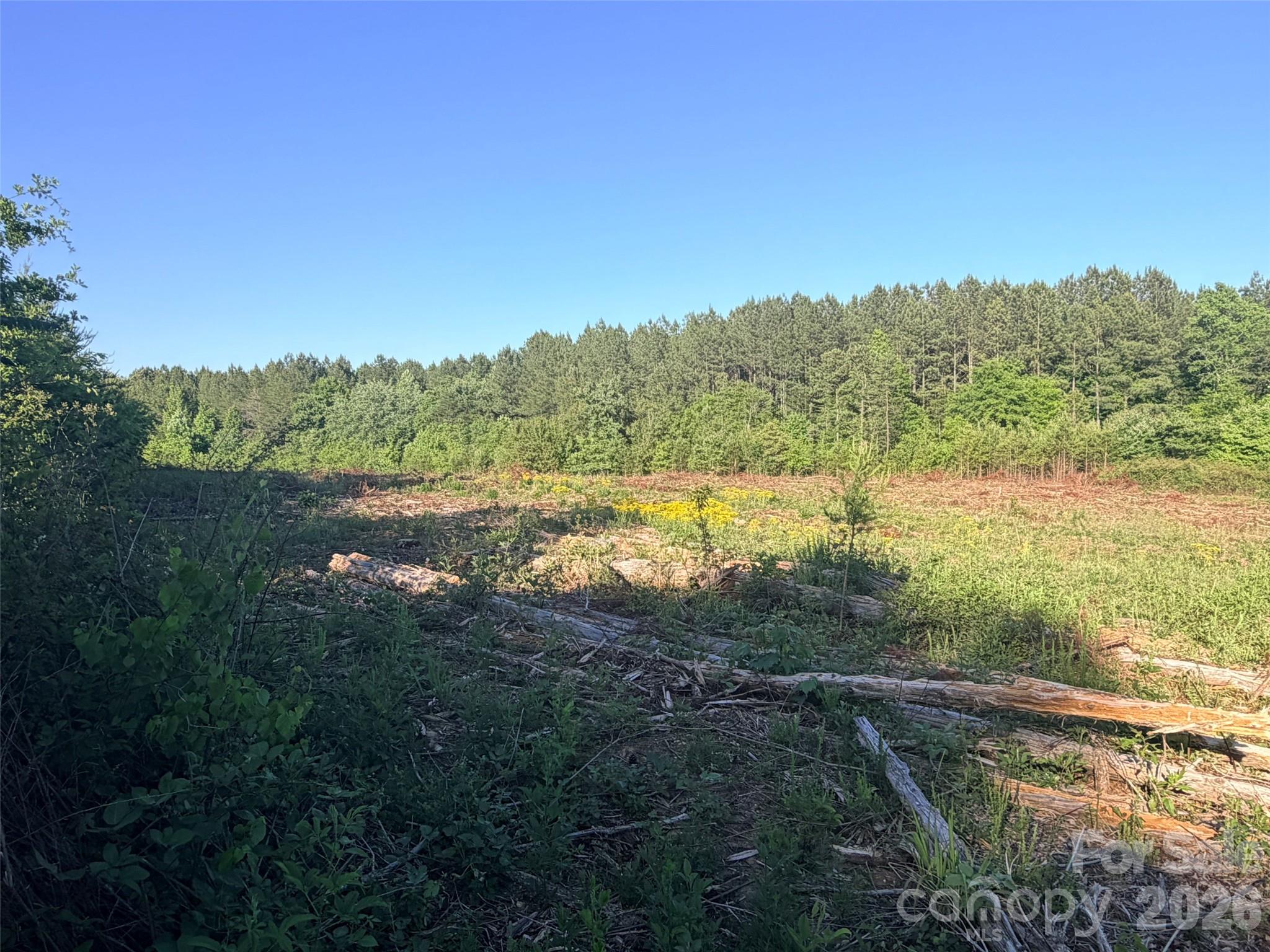 Lot 2 Doggett Grove Road Forest City, NC 28043 - Photo 1 of 6
