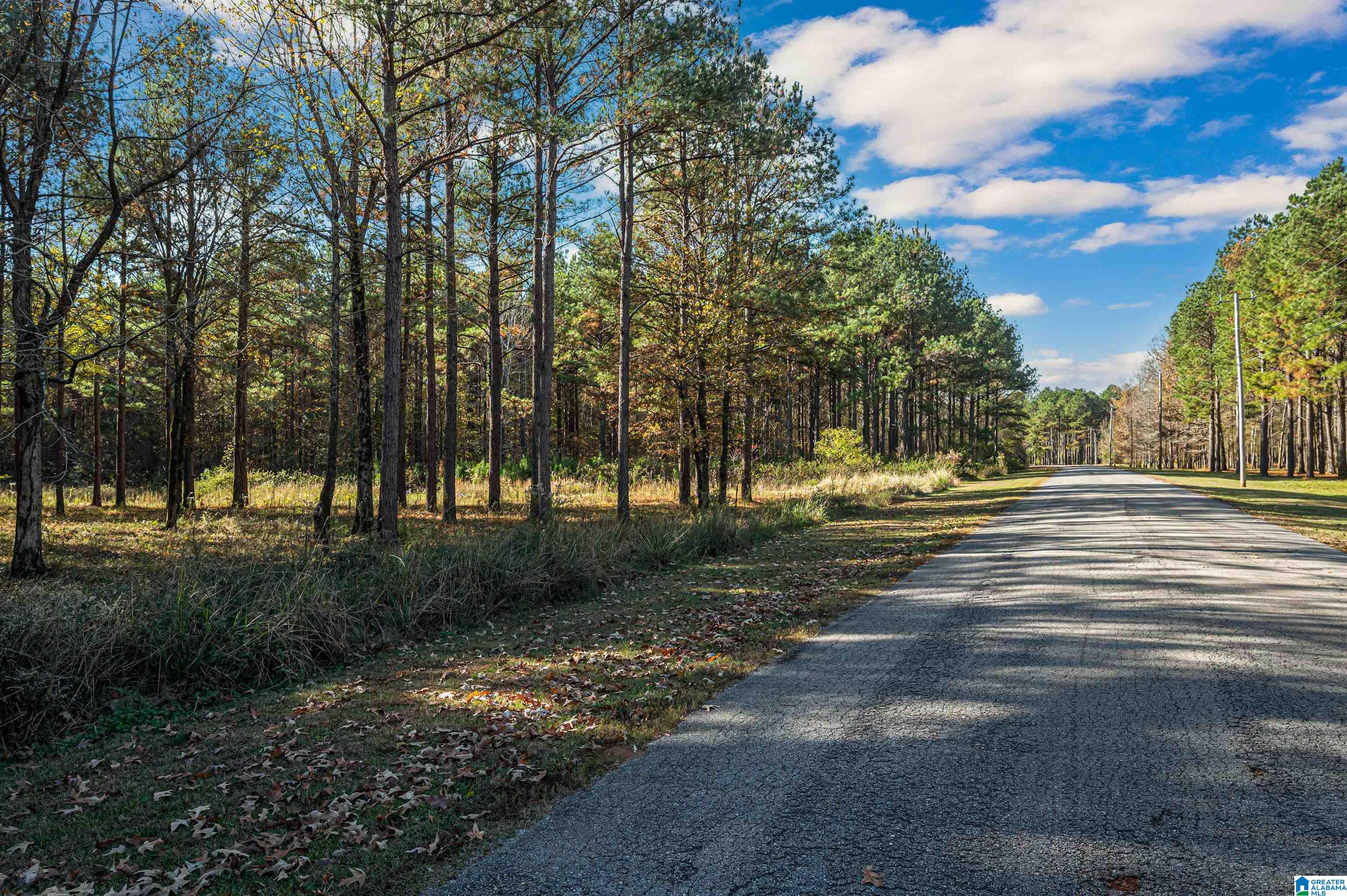 152 Cypress Point Drive, Unit 2 Akron, AL 35441 - Photo 3 of 29