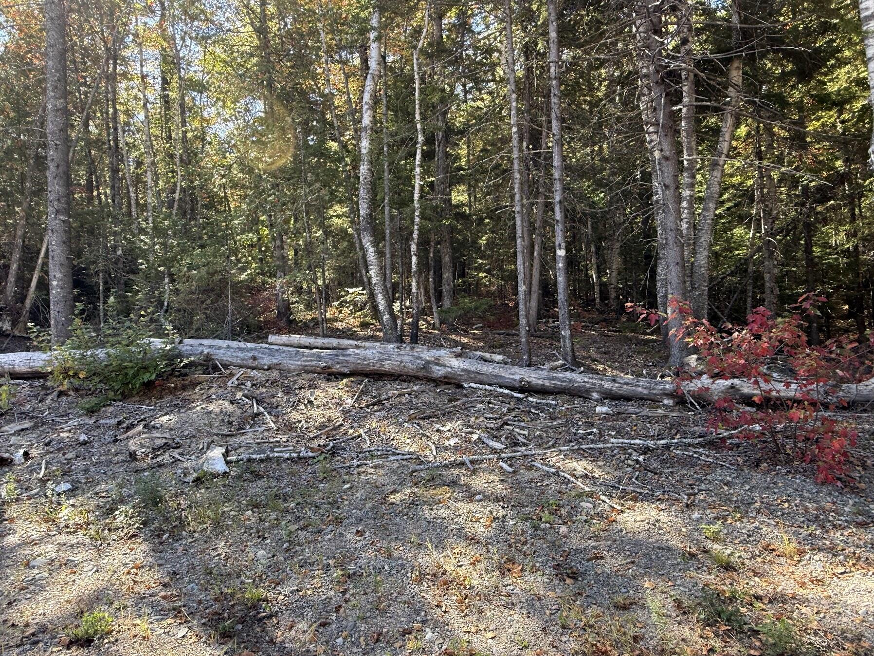 202 Ayers Junction Road Pembroke, ME 04666 - Photo 3 of 46 IMG_8770