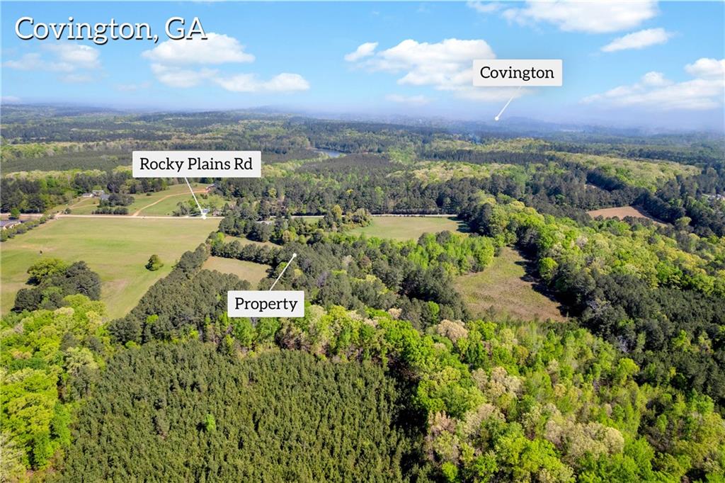 1025 Rocky Plains Road Covington, GA 30016 - Photo 3 of 17