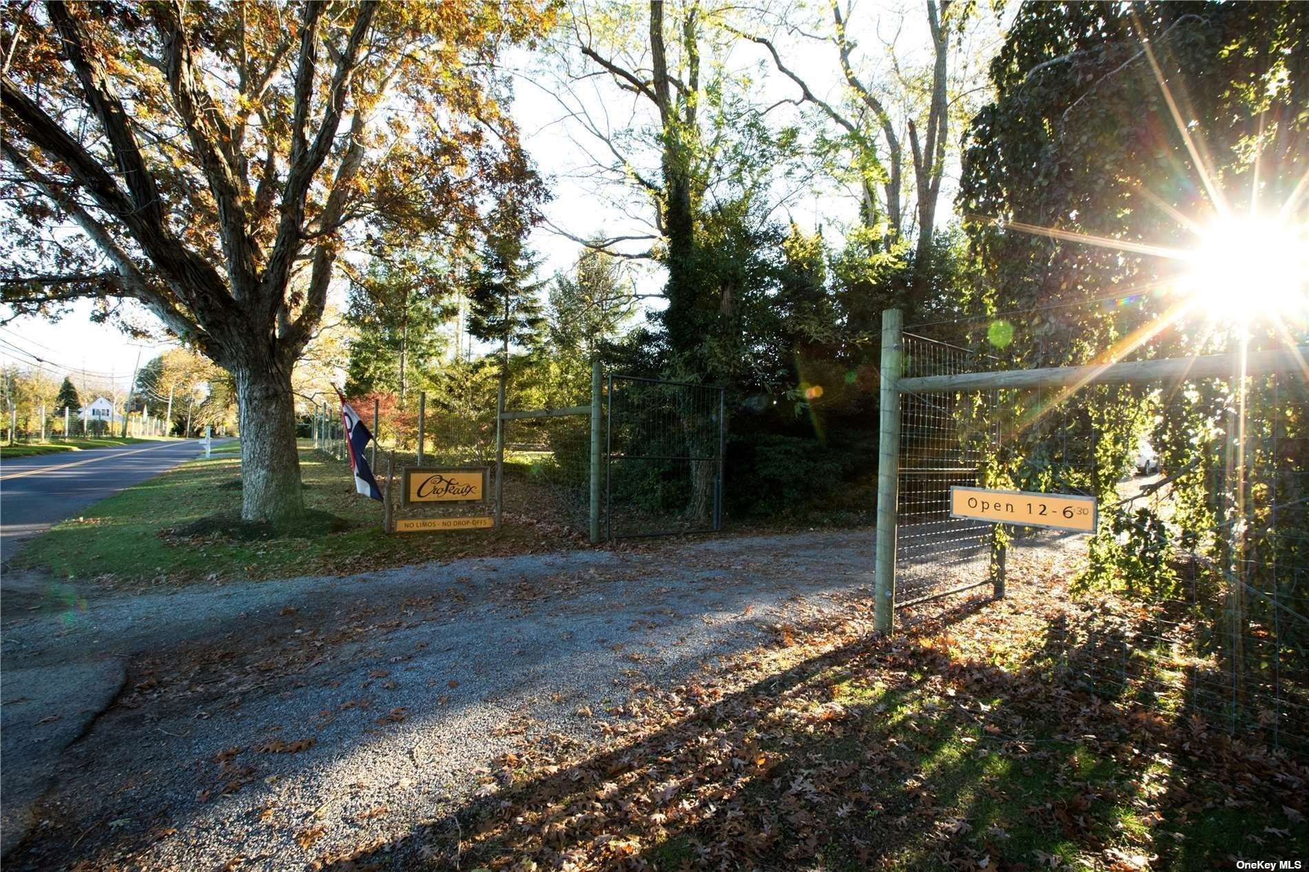 45 Southold, undefined 00000 - Photo 21 of 21 a view of a yard with plants and trees