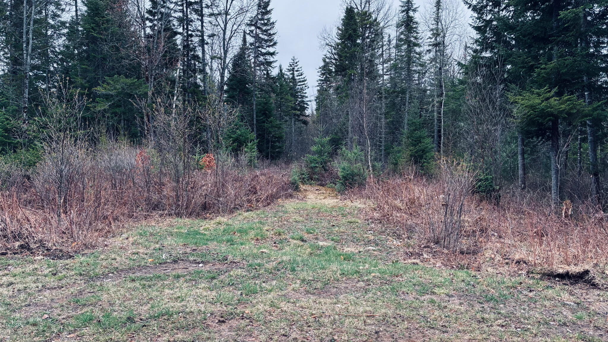 Standish Road 86 Acres