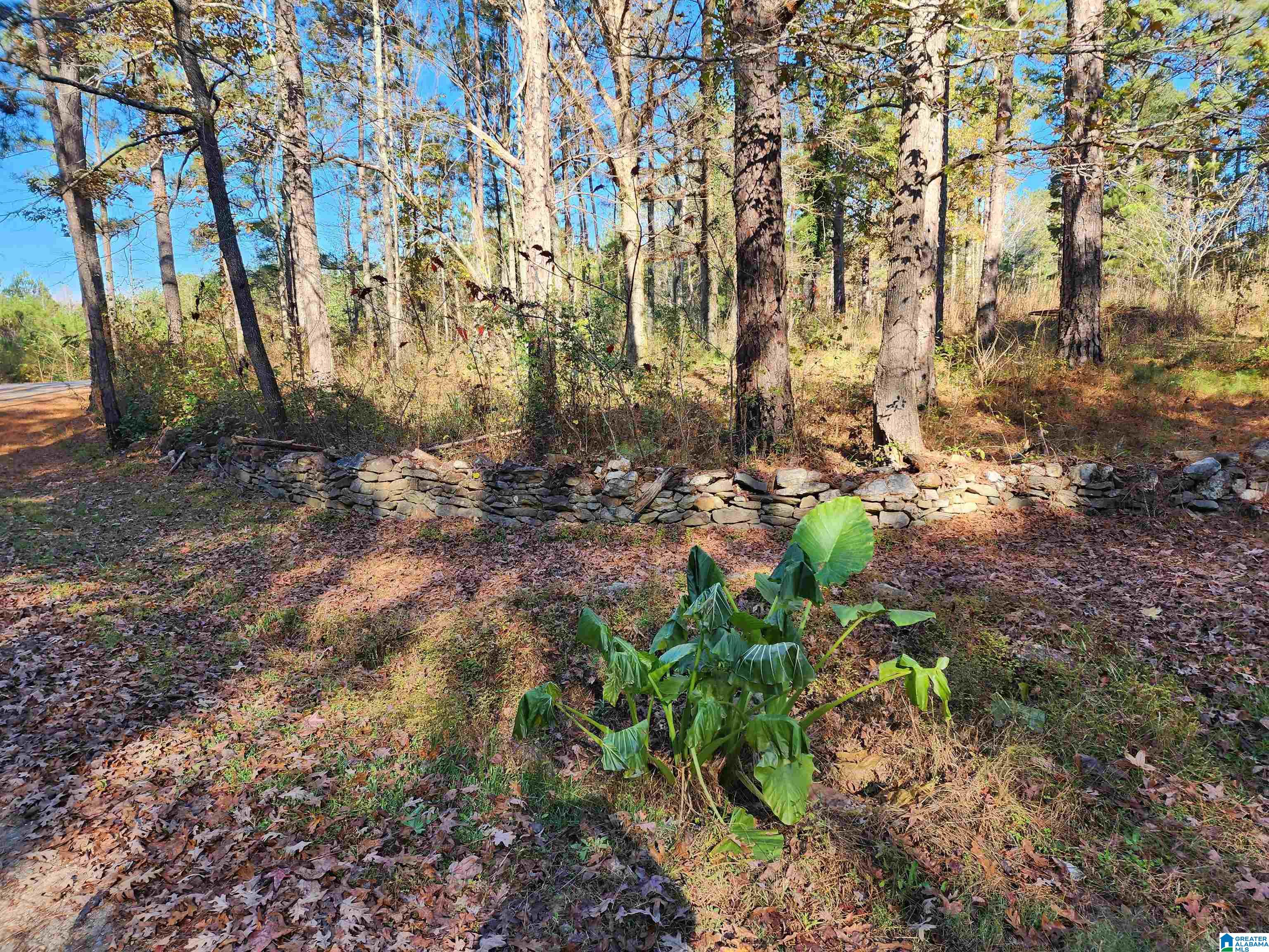 524 Raccoon Trail Goodwater, AL 35072 - Photo 4 of 21