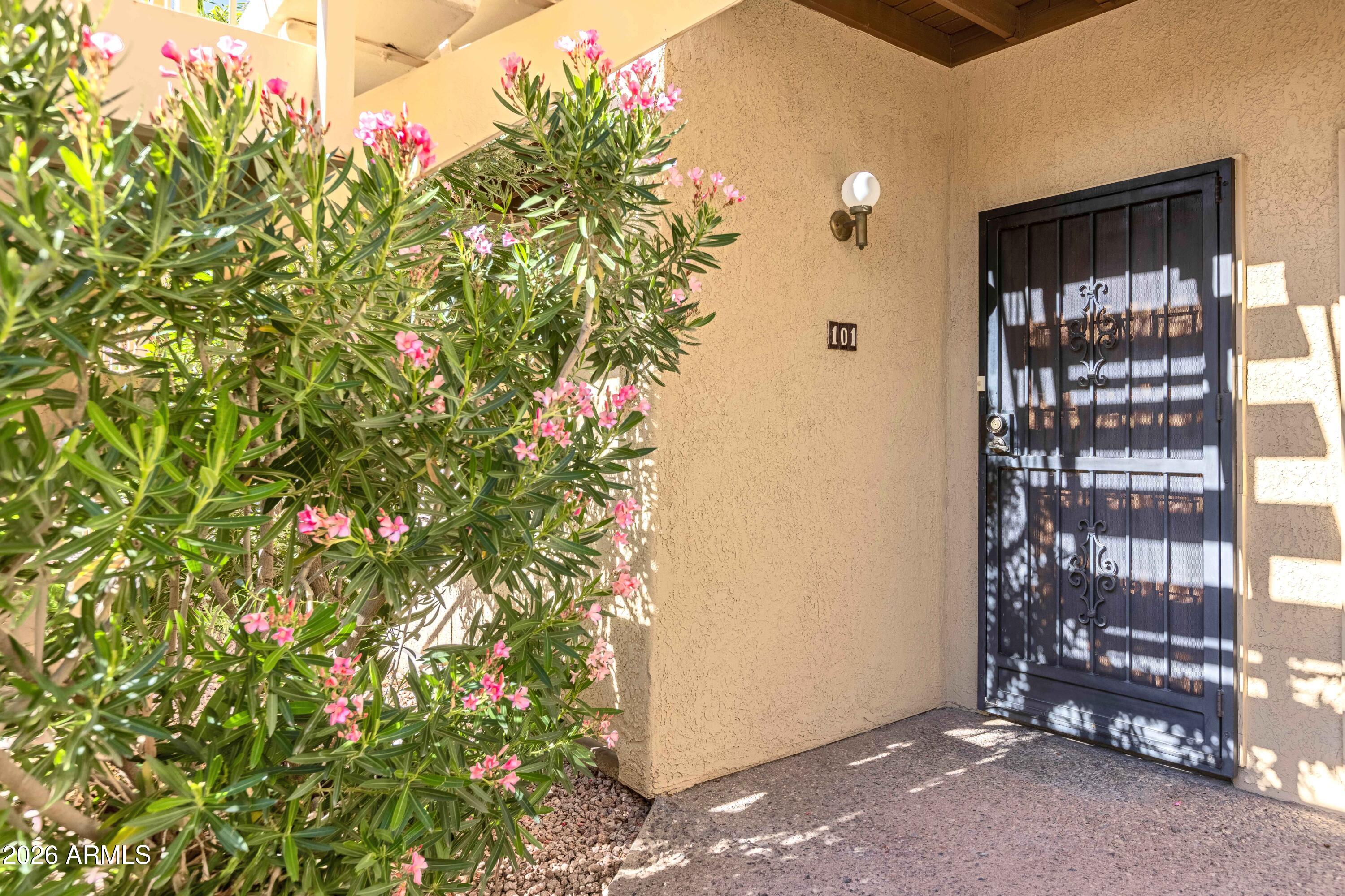 5500 North Valley View Road, Unit 101 Tucson, AZ 85718 - Photo 5 of 26 Front Door with Security Screen