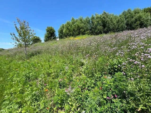 $475,000 | 1106 Meadow Lane, Waconia, MN 55387