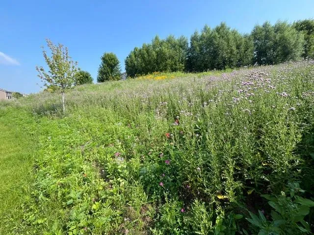 $475,000 | 1106 Meadow Lane, Waconia, MN 55387