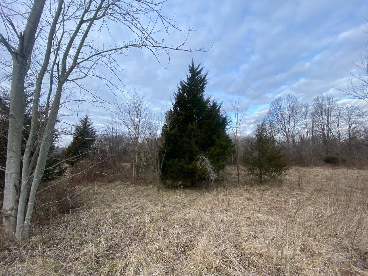 0 North Co Road Milan, IN 47031 - Photo 1 of 4