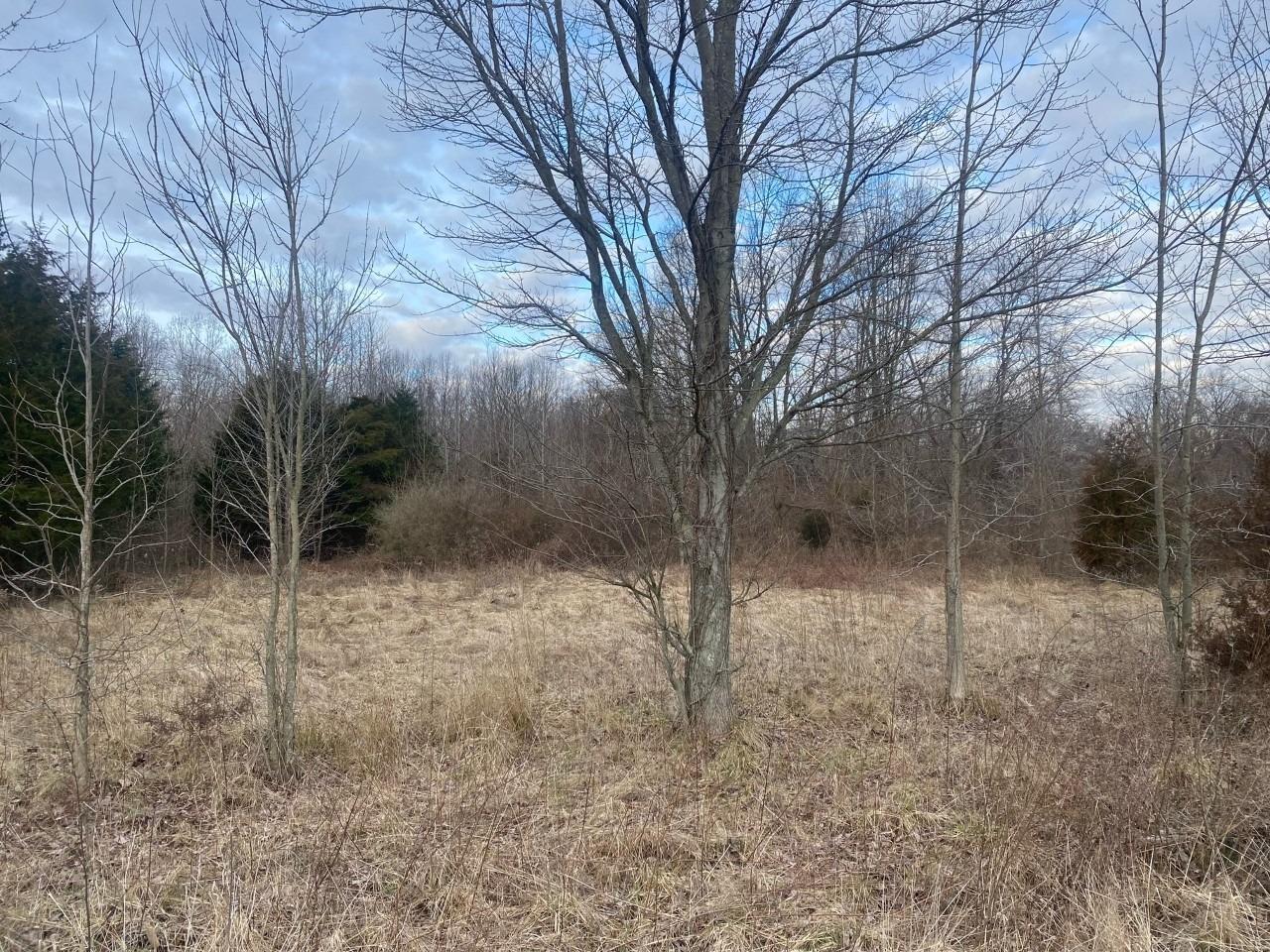 0 North Co Road Milan, IN 47031 - Photo 4 of 4