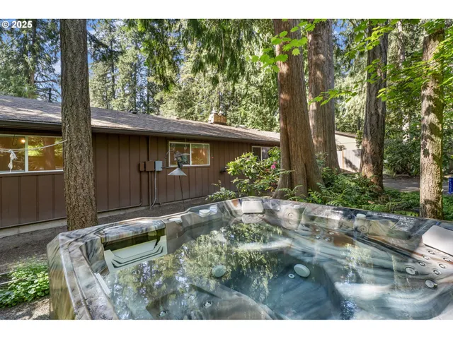 a view of backyard with a garden and plants