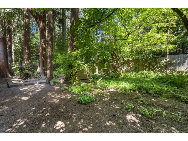 a backyard of a house with lots of green space