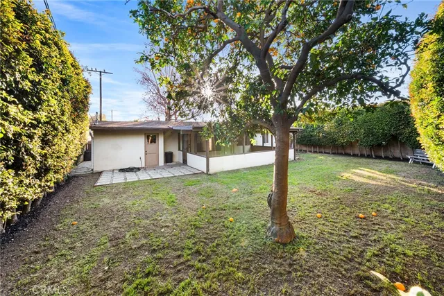 a view of a house with backyard and a tree
