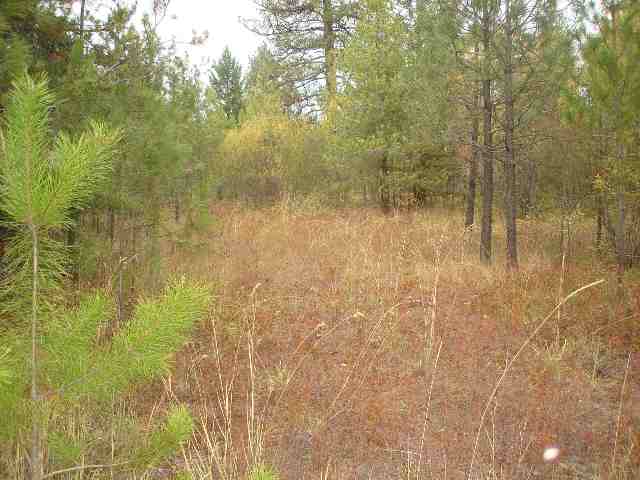 3836 Deer Creek Road Valley, WA 99181 - Photo 2 of 4
