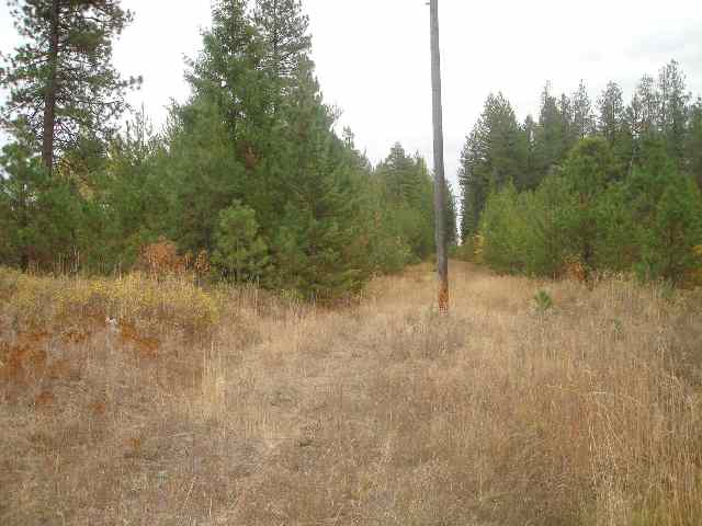 3836 Deer Creek Road Valley, WA 99181 - Photo 3 of 4
