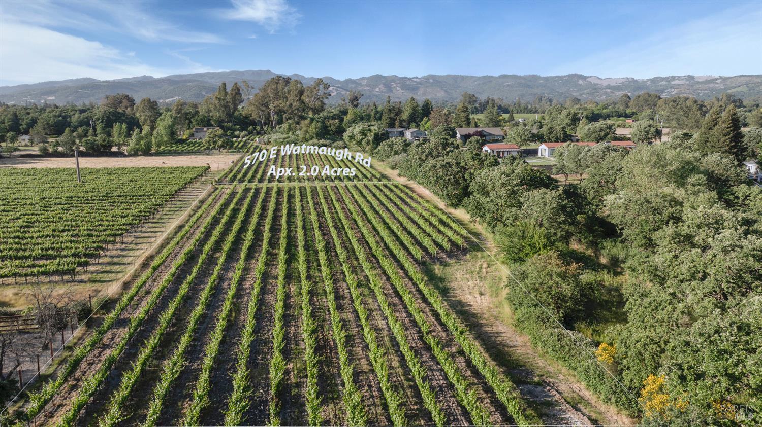 a view of a yard with an outdoor space