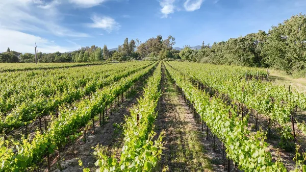 a view of a yard with an outdoor space