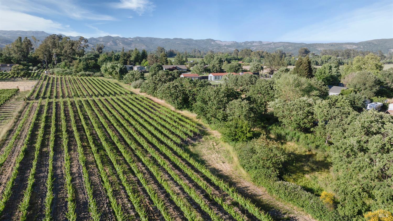 570 East Watmaugh Road Sonoma, CA 95476 - Photo 3 of 8 a view of a yard