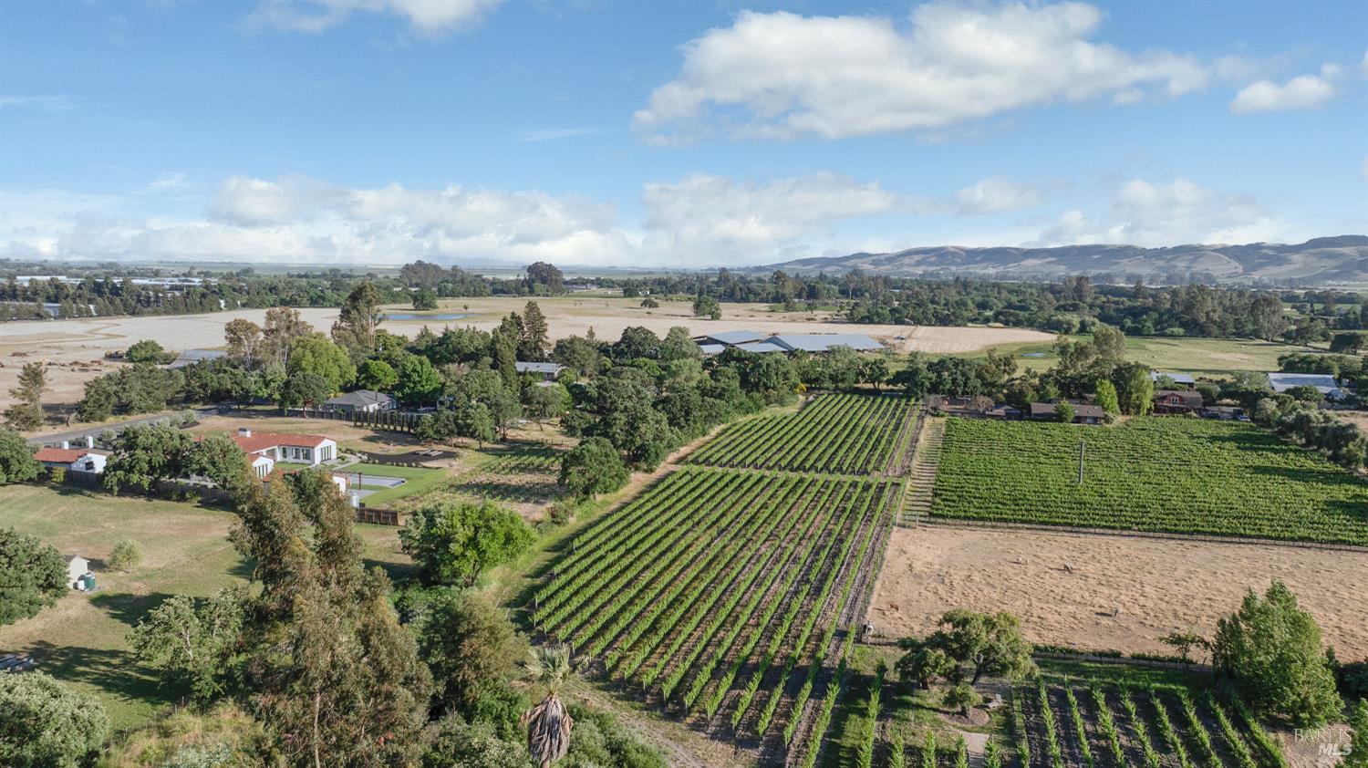570 East Watmaugh Road Sonoma, CA 95476 - Photo 5 of 8 a view of a lake with a yard