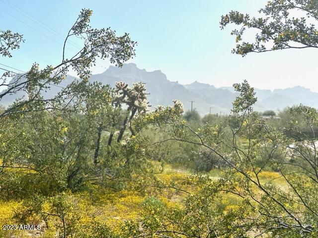 759 North Cortez Road Apache Junction, AZ 85119 - Photo 28 of 29 IMG_2127