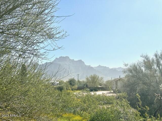 759 North Cortez Road Apache Junction, AZ 85119 - Photo 29 of 29 IMG_2128