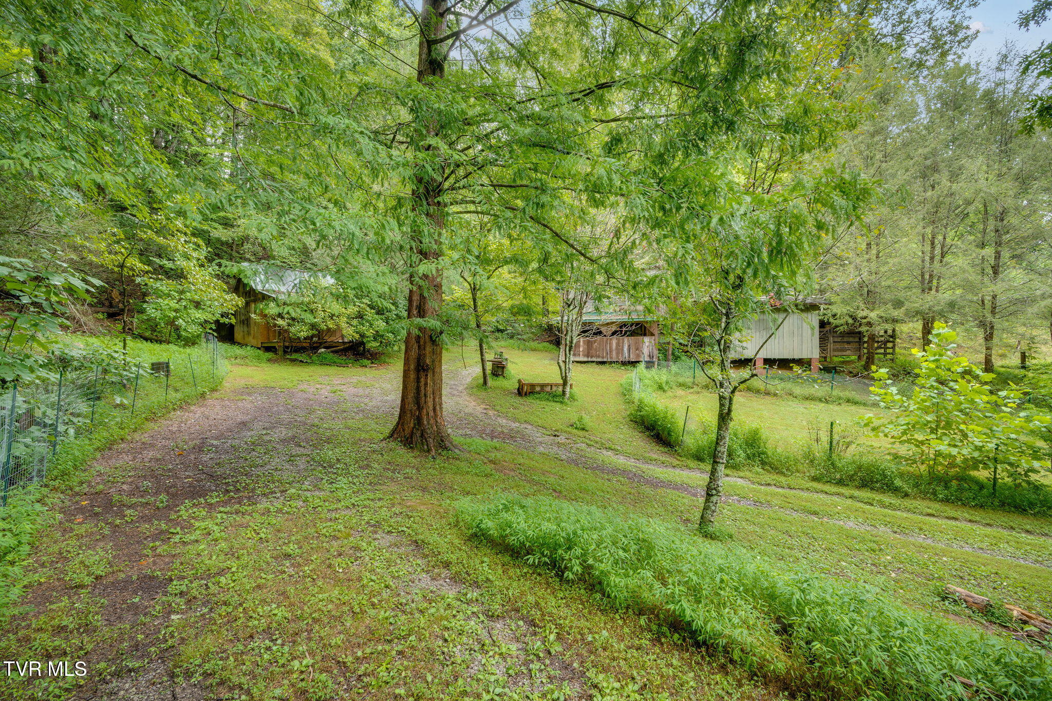 1530 Powder Branch Road Johnson City, TN 37601 - Photo 19 of 30 026