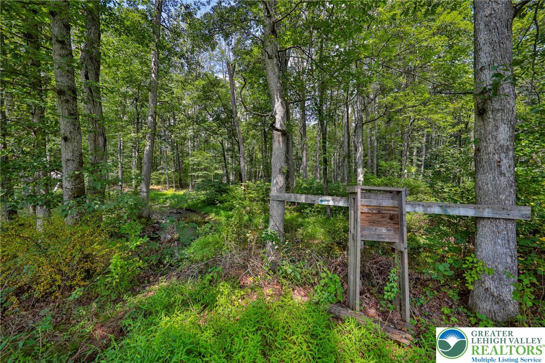 181 East Moorestown Road Wind Gap, PA 18091 - Photo 48 of 52 Gallery Image 48