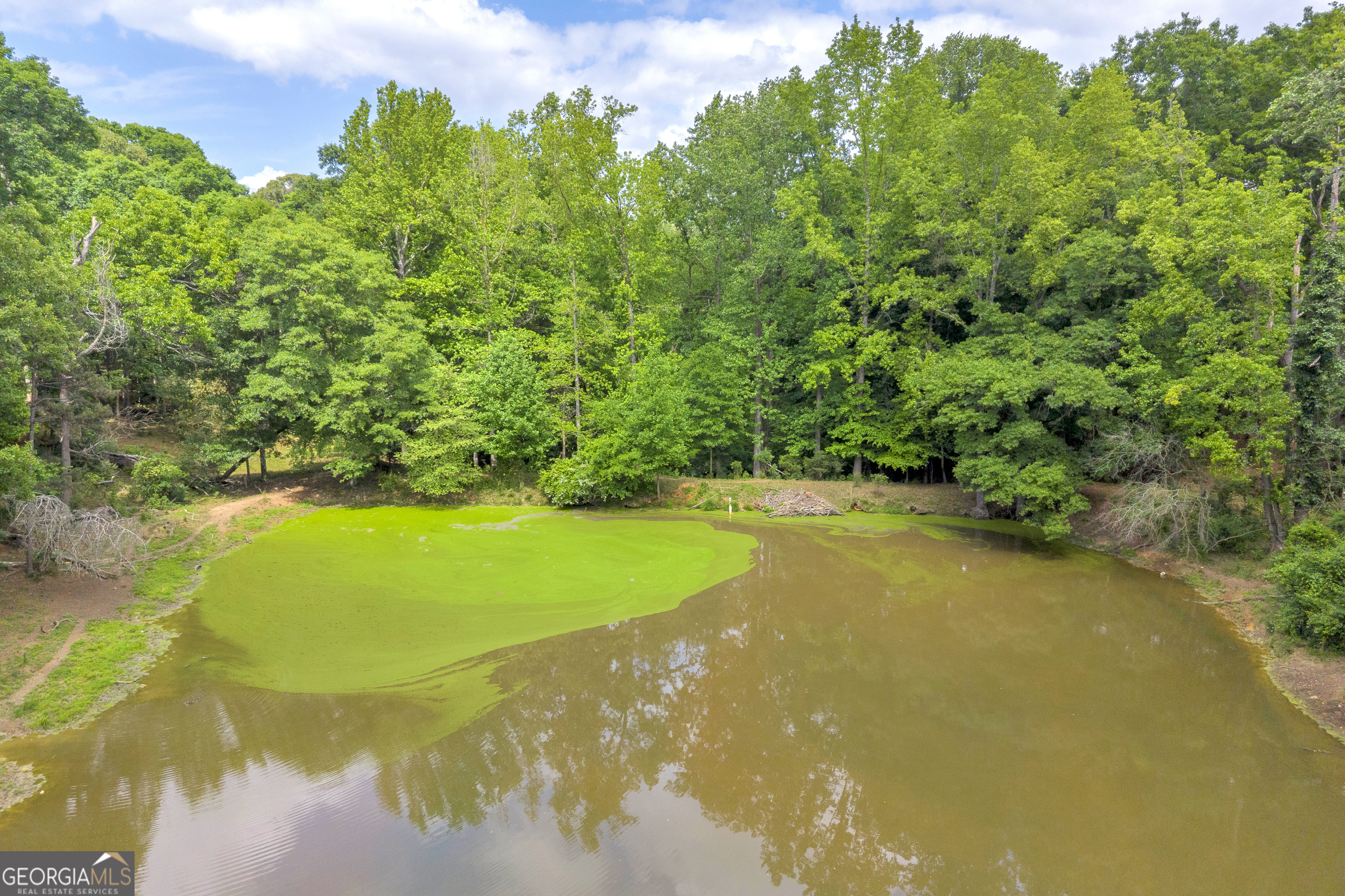 6490 Highway 145 Carnesville, GA 30521 - Photo 16 of 29 a view of a swimming pool with an outdoor space and seating area