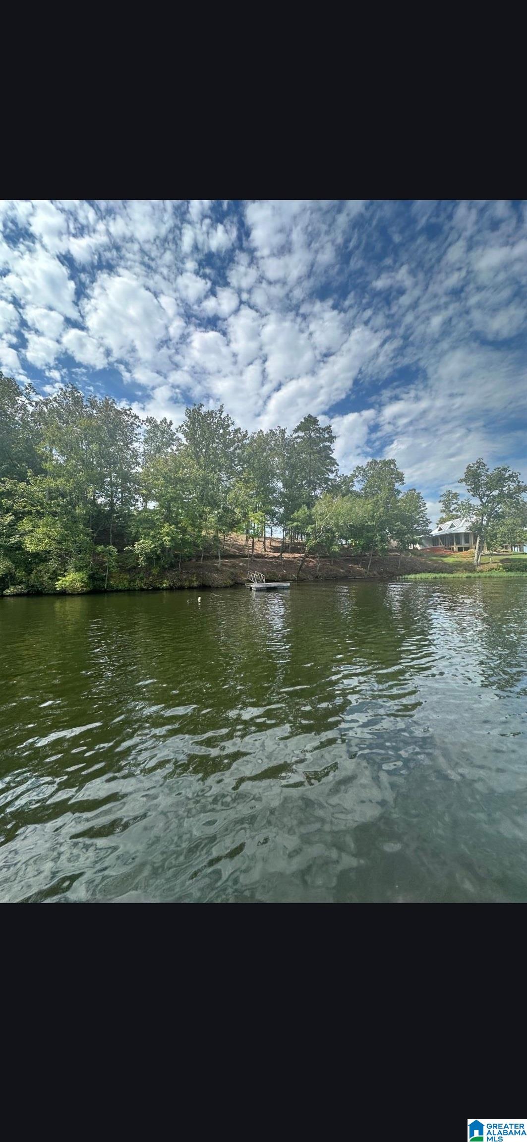 Lot 8 Eagle Point Road, Unit 1 Alexander City, AL 35010 - Photo 14 of 14