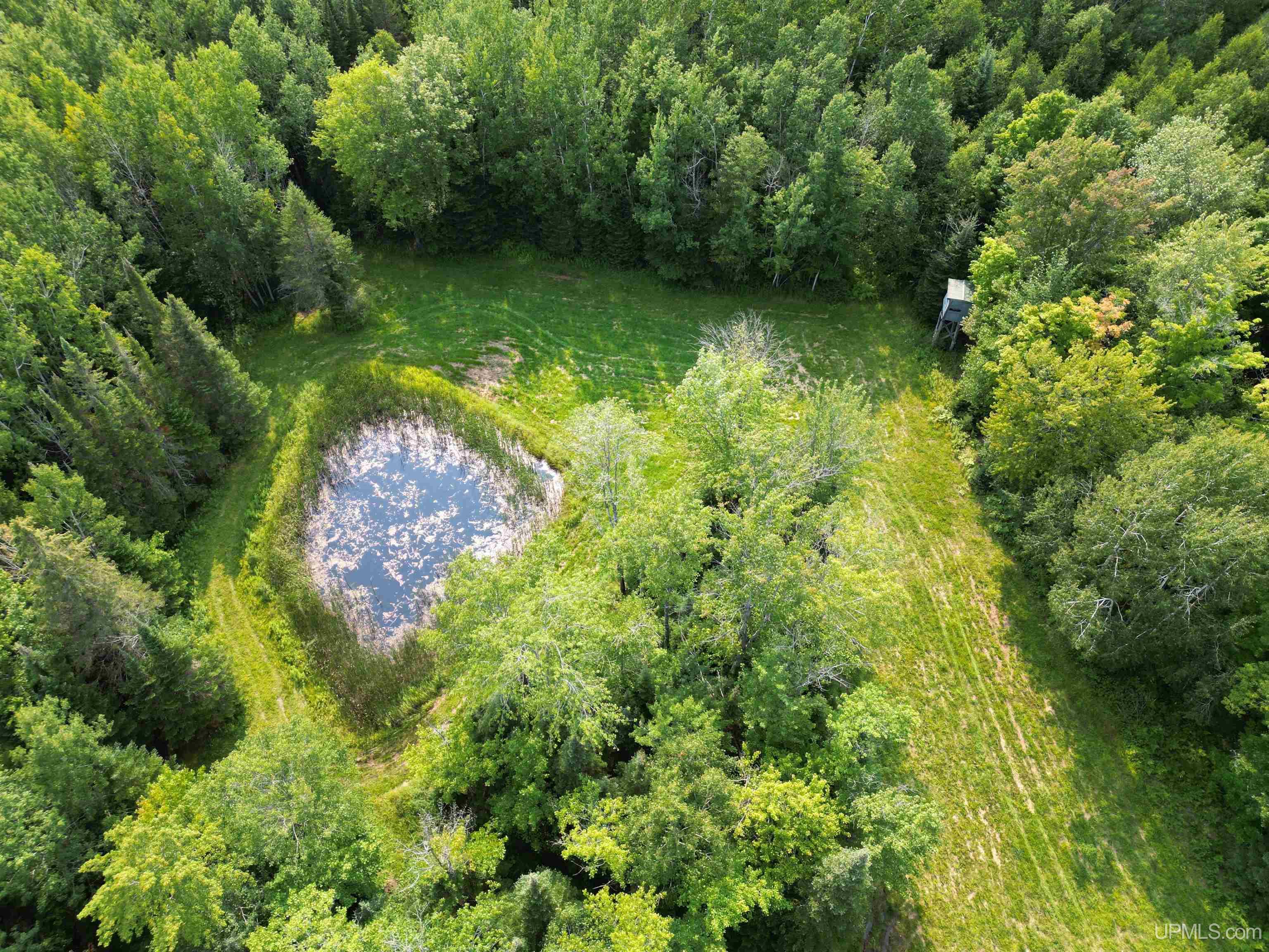 5368 Camp 23 Road Germfask, MI 49836 - Photo 43 of 61 Gallery Image 43
