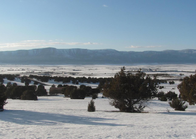 13800 North 6245th East, Unit 4 Spring City, UT 84662 - Photo 4 of 7 View of mountain background