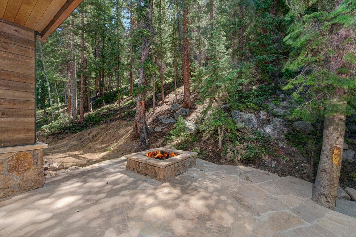 25 Tip Top Trail Keystone, CO 80435 - Photo 14 of 39 a view of a backyard with table and chairs and potted plants