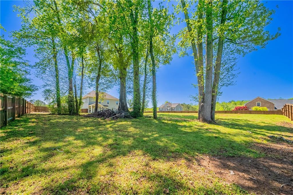 10 Edgewater Court Covington, GA 30016 - Photo 24 of 25 a view of a yard with an tree