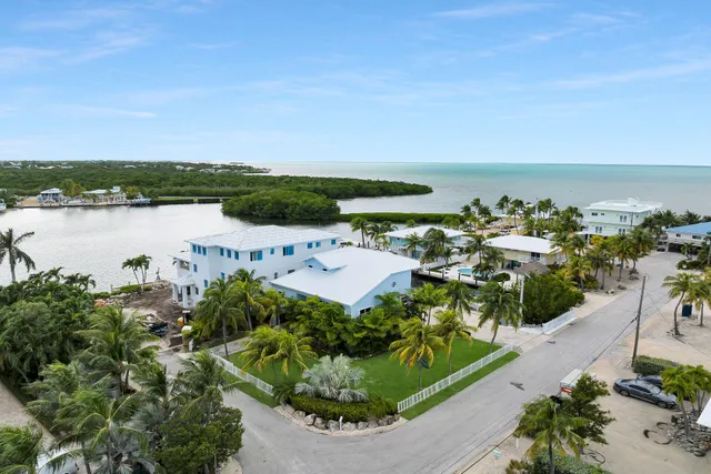 a view of a yard with plants and a fountain