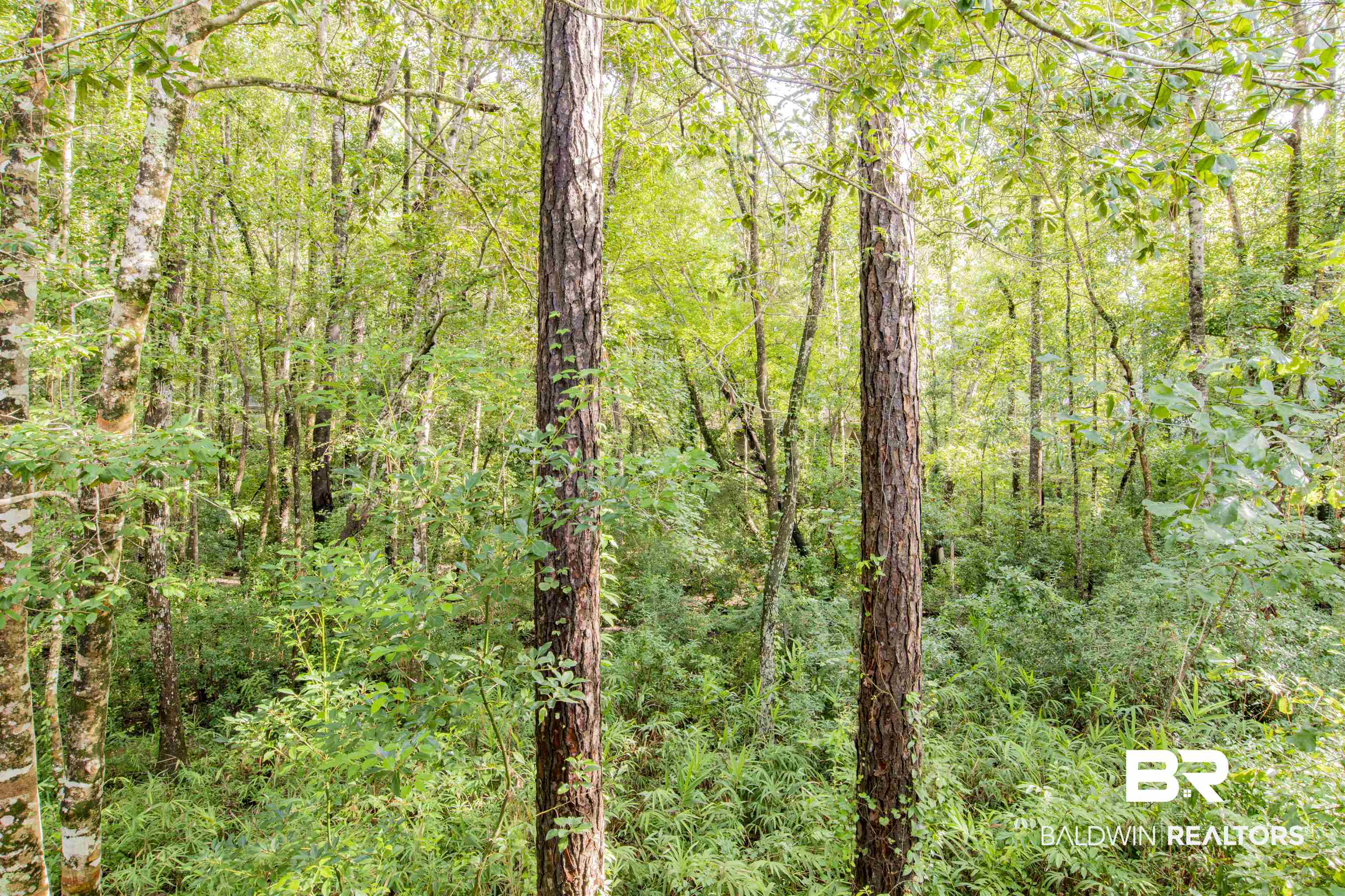 366 Ridgewood Drive Daphne, AL 36526 - Photo 20 of 21