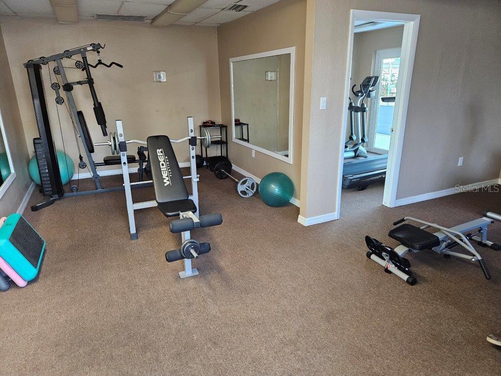 4851 West Gandy Boulevard, Unit B5L5 Tampa, FL 33611 - Photo 33 of 46 a view of a room with gym equipment