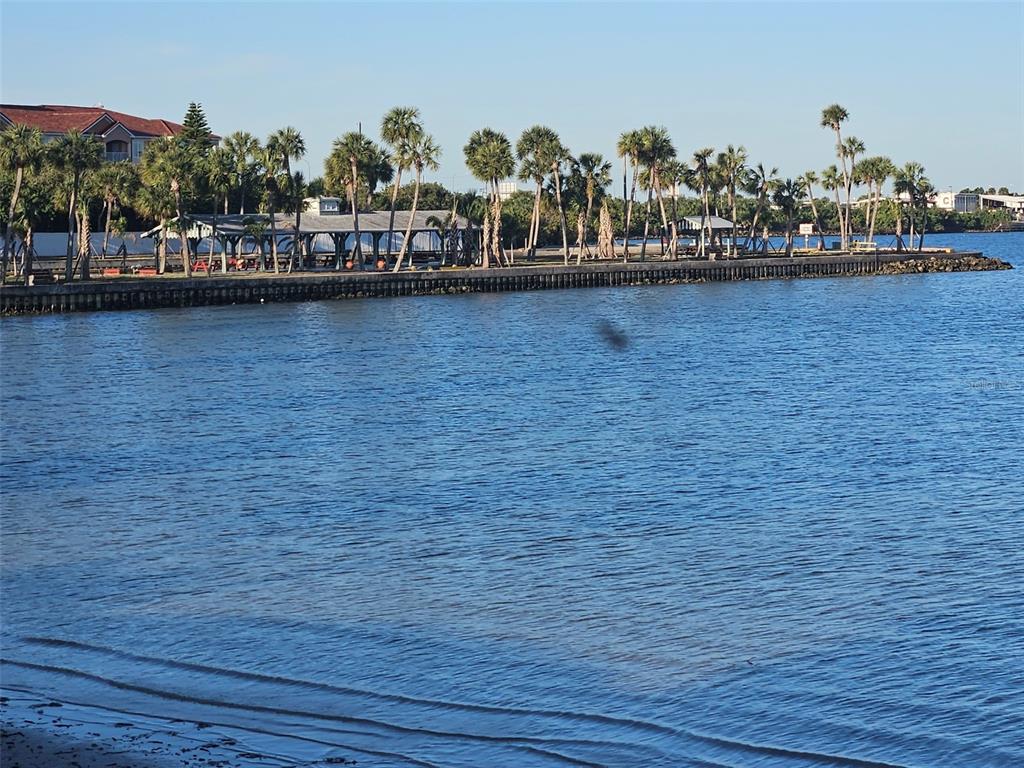 4851 West Gandy Boulevard, Unit B5L5 Tampa, FL 33611 - Photo 42 of 46 a view of a lake with boats and trees in the background
