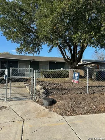 a view of a yard