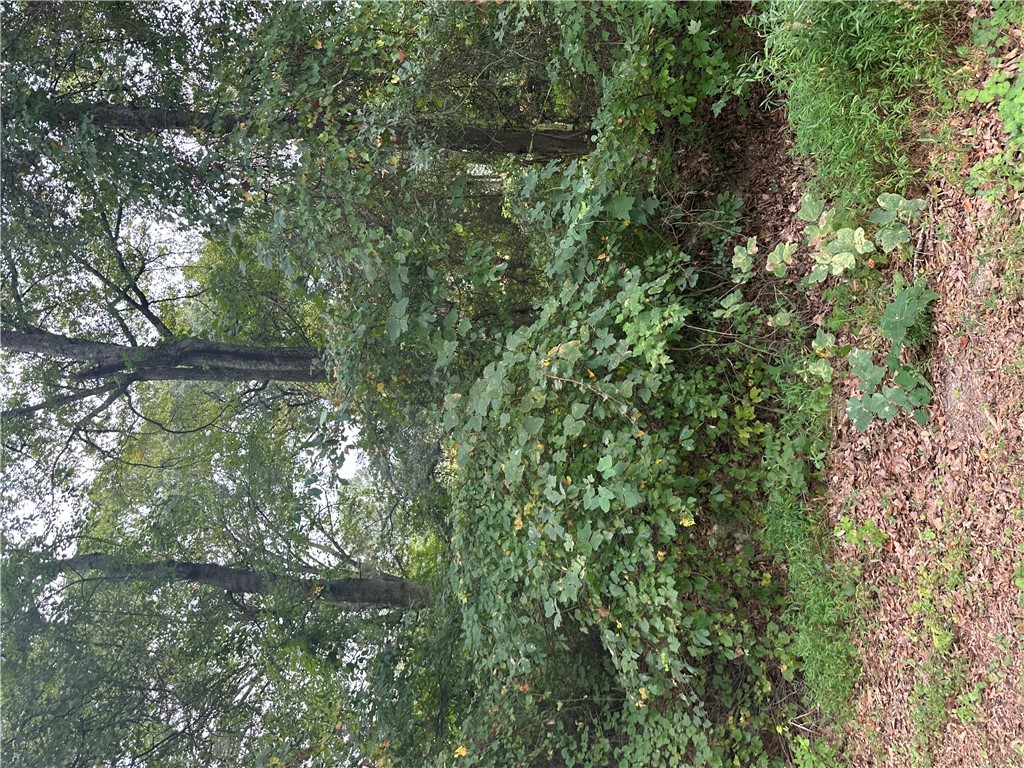 134 A Brookside Drive Anderson, SC 29625 - Photo 2 of 3