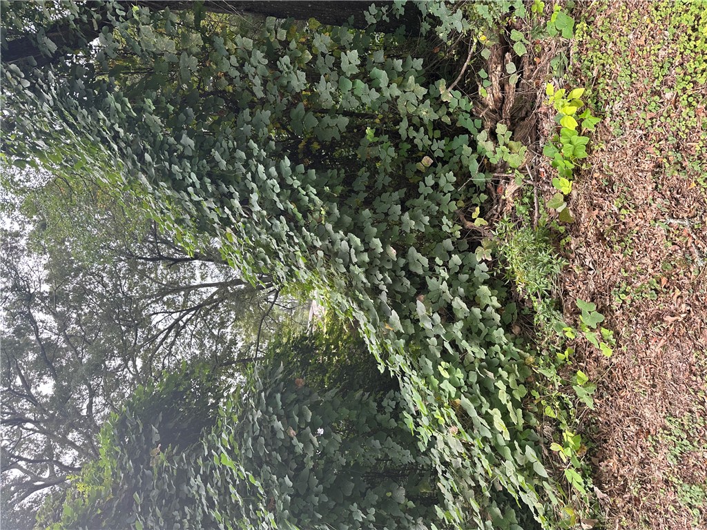 134 A Brookside Drive Anderson, SC 29625 - Photo 3 of 3