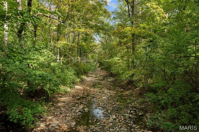 $2,000,000 | 1800 West Adams Avenue, Kirkwood, MO 63122