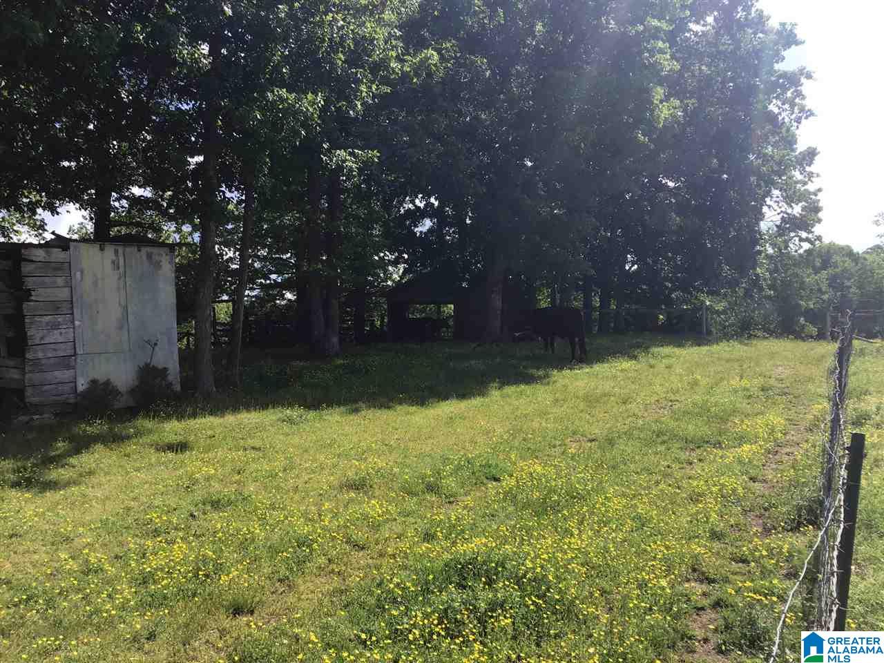 959 Shady Grove Road Phil Campbell, AL 35581 - Photo 6 of 28 Gallery Image 6