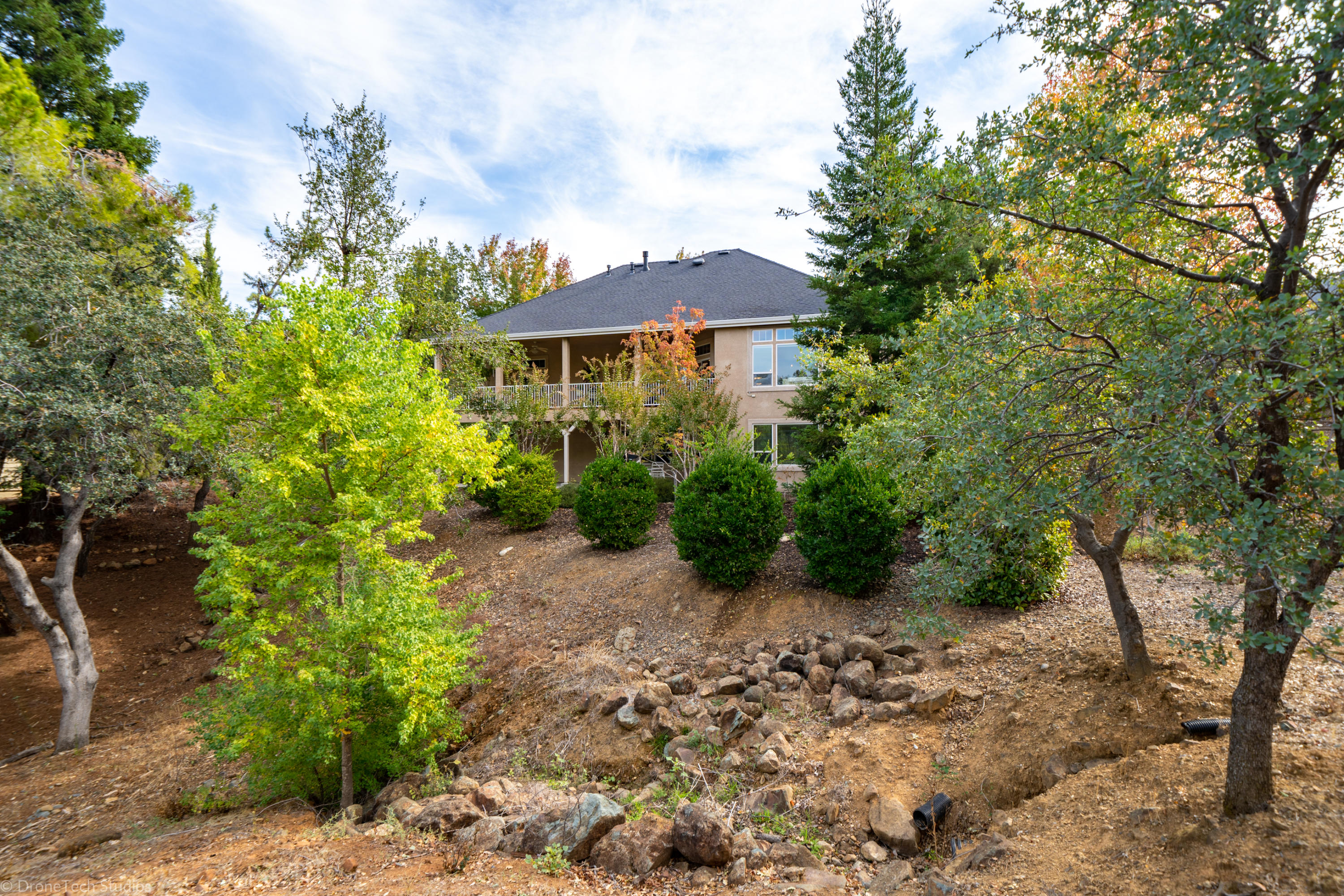 3179 Pinot Path Redding, CA 96001 - Photo 52 of 60 a view of a garden with plants and a bench