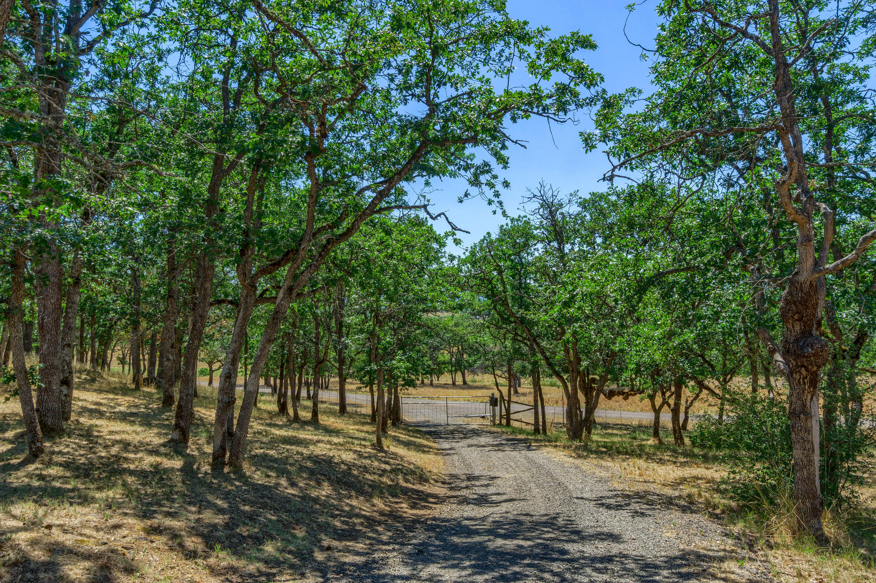 3000 Meridian Road Eagle Point, OR 97524 - Photo 11 of 53 a view of a forest with trees in the background