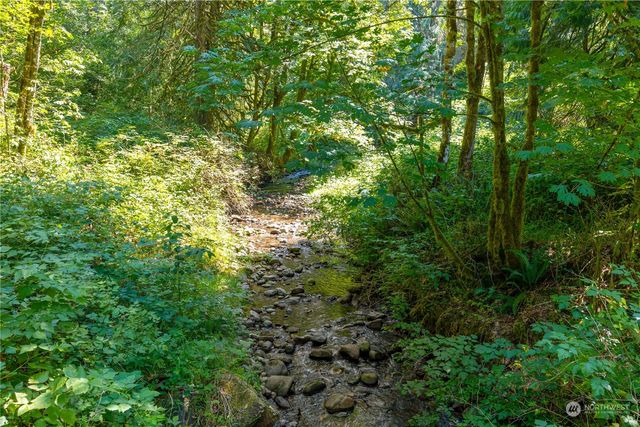a view of a lush green forest
