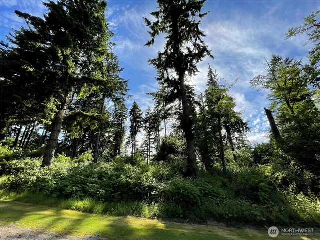 a view of a lake with houses