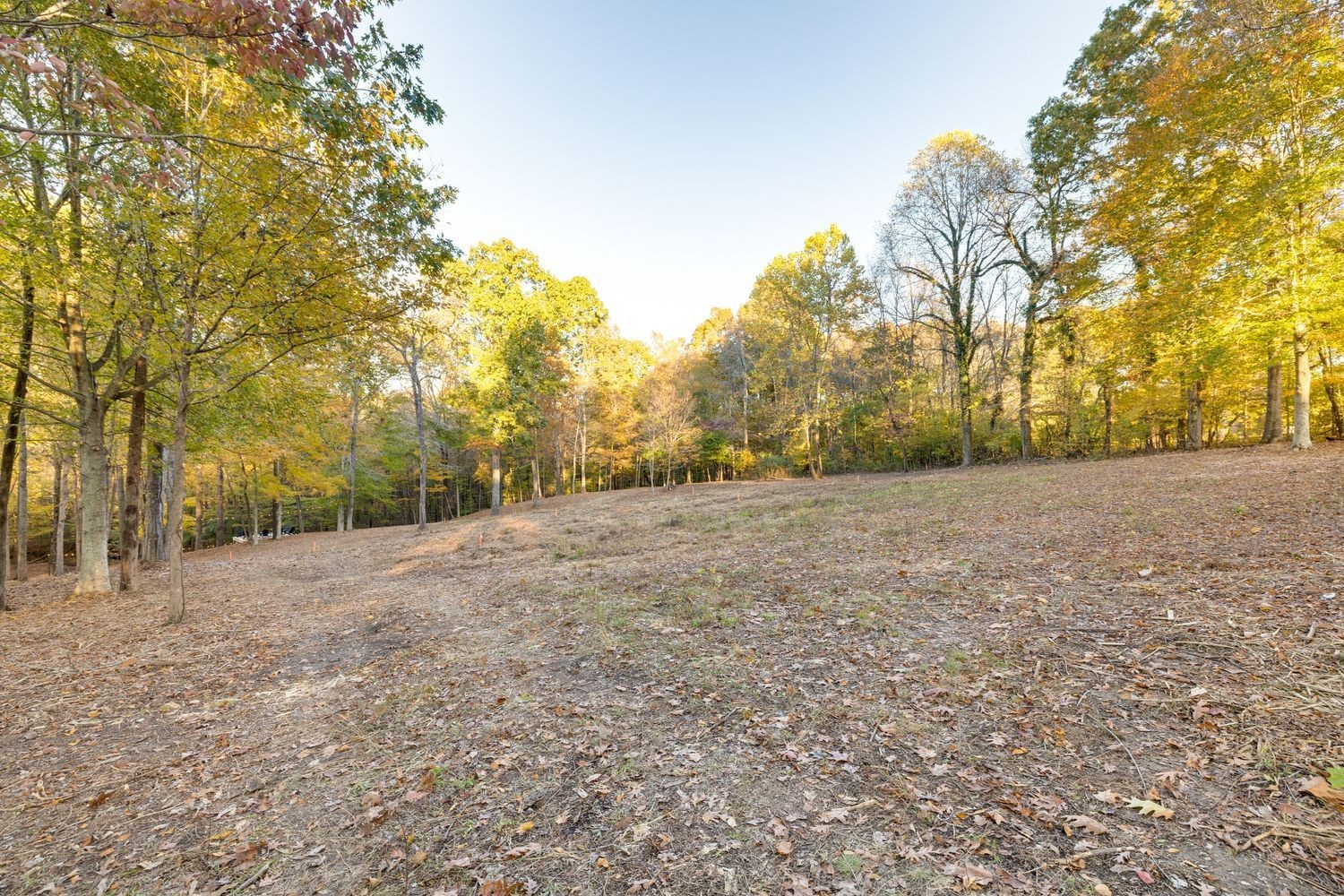 7368 Overbey Road Fairview, TN 37062 - Photo 11 of 19