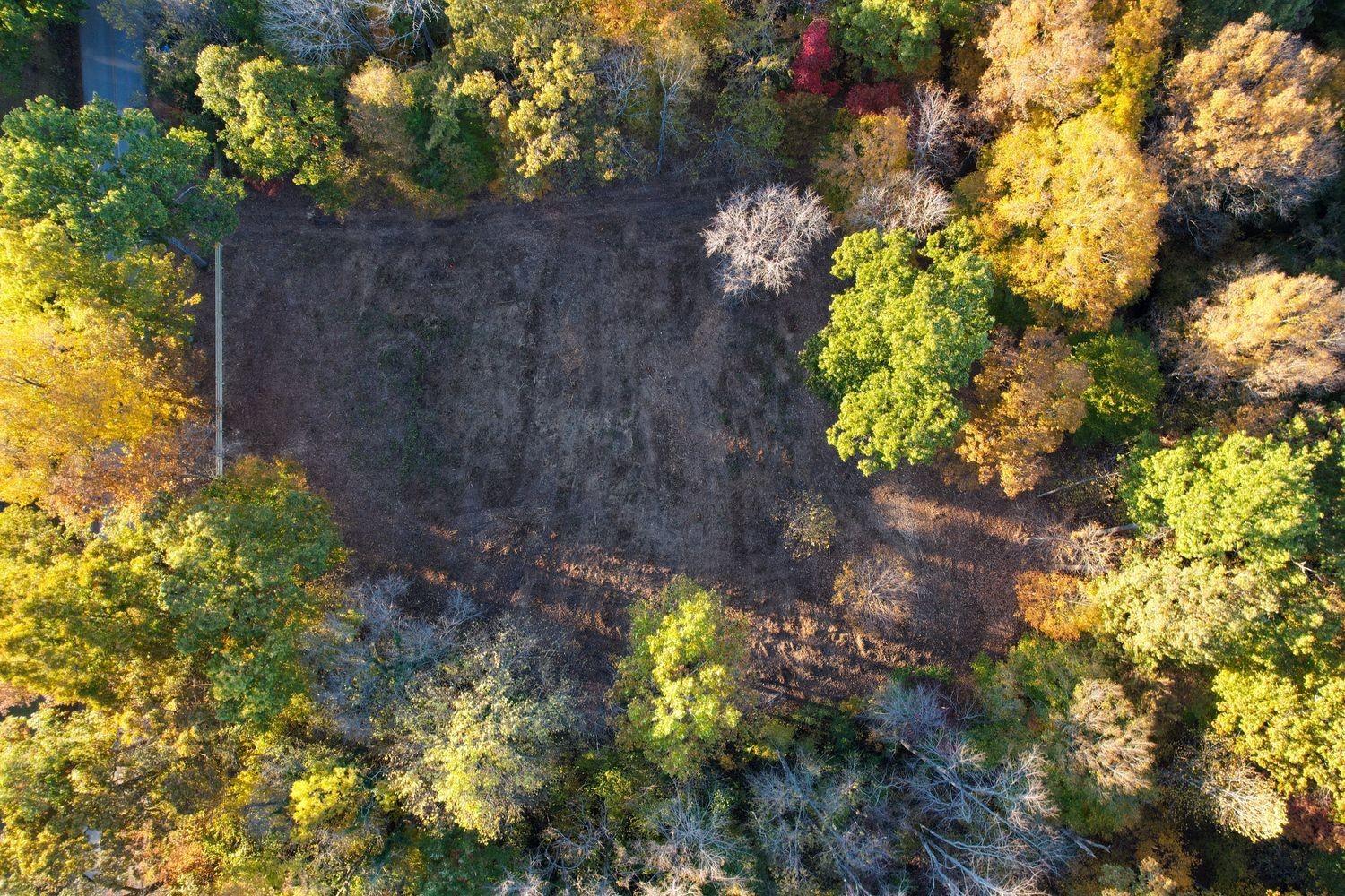 7368 Overbey Road Fairview, TN 37062 - Photo 14 of 19