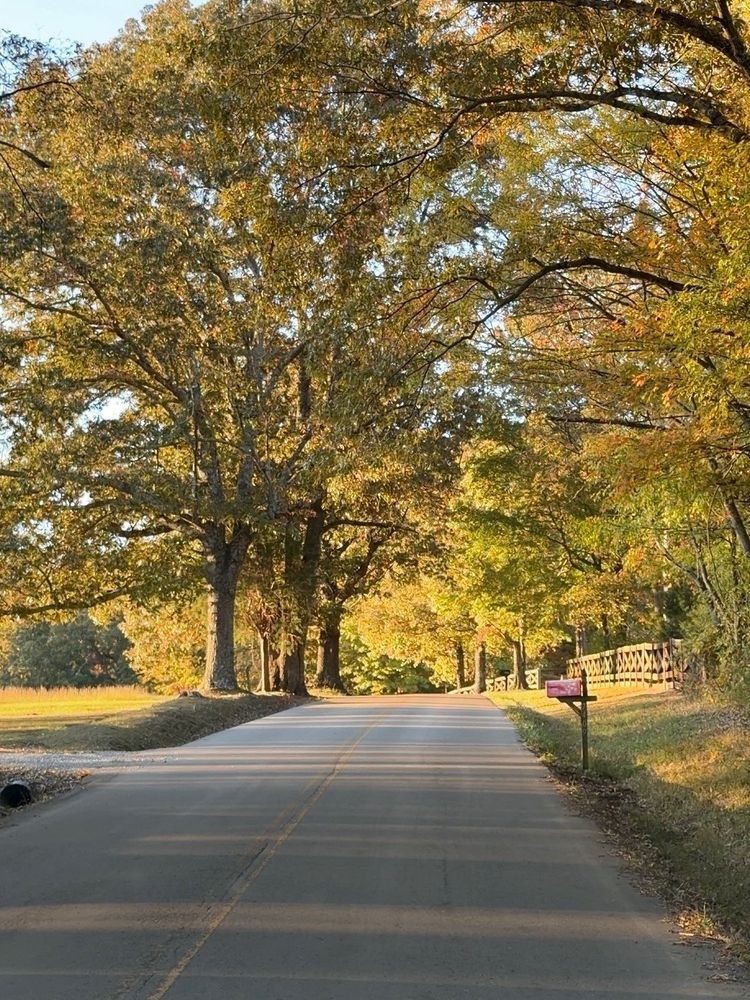 7368 Overbey Road Fairview, TN 37062 - Photo 15 of 19