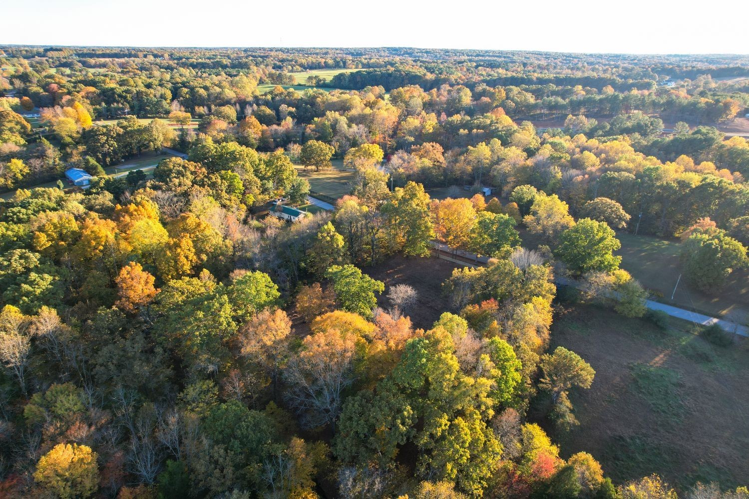 7368 Overbey Road Fairview, TN 37062 - Photo 16 of 19
