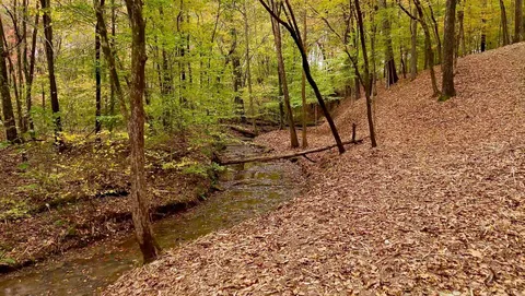 $349,000 | 7368 Overbey Road, Fairview, TN 37062