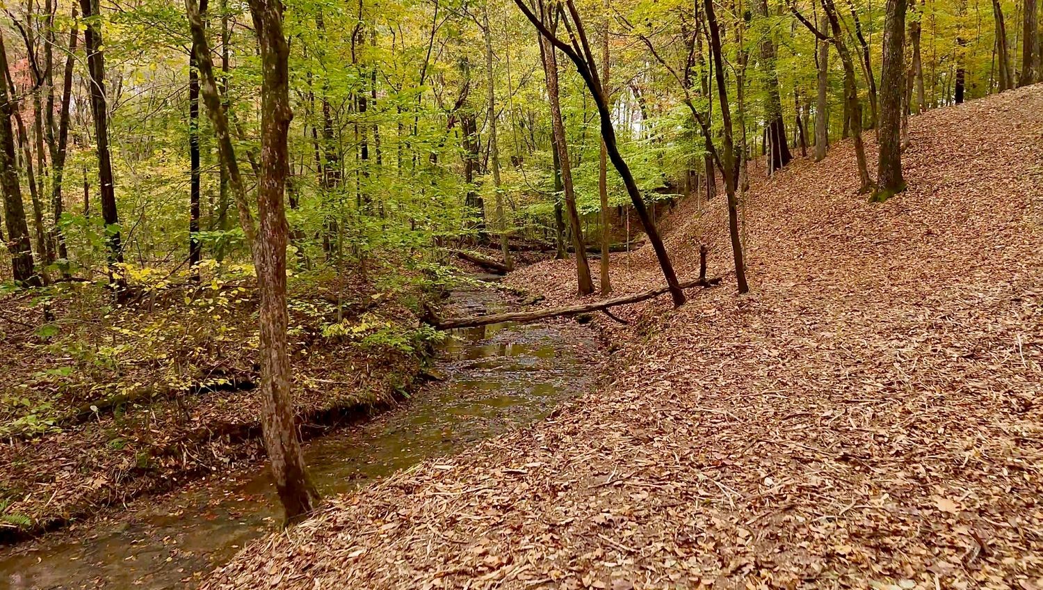 7368 Overbey Road Fairview, TN 37062 - Photo 2 of 19